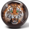 Brunswick Tiger Viz-a-Ball Bowling Ball -Bowler Smart Shop 0BLgs5fg